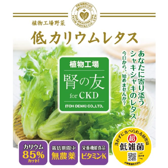 レタス 低カリウムレタス 4個入り カリウム85%カット 洗わず食べられる ビタミンK 植物工場 兵庫県 加西市 リーフレタス 栽培期間中 無農薬