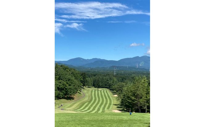 【ふるさと納税】西仙台カントリークラブ商品券10,000円分　ゴルフプレー ゴルフ場  利用権 ゴルフ プレゼント 仙台市 041009_GT003