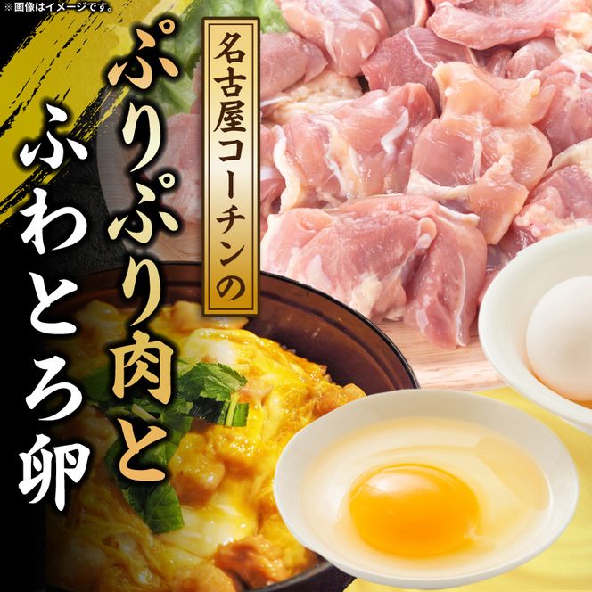 【名古屋コーチン入り】駒来しいたけの駒丼（こまどん）［131L03］しいたけ丼 シイタケ丼 椎茸丼 名古屋コーチン コーチン肉付き 親子丼 地鶏 日本三大地鶏 国産 鶏 鶏肉 レトルト 常温 非常食 湯煎 レンジ どんぶり 丼 丼ぶり 簡単調理 コク 旨み 名古屋コーチン入り しいたけ 駒丼 どんぶりのもと 丼の素 230g 4箱 肉厚 濃厚 だしの旨味 お取り寄せ 愛知県 小牧市 送料無料
