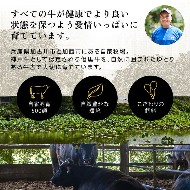 神戸牛 ロースステーキ 2枚 400g  A4ランク A5ランク 牛肉 肉