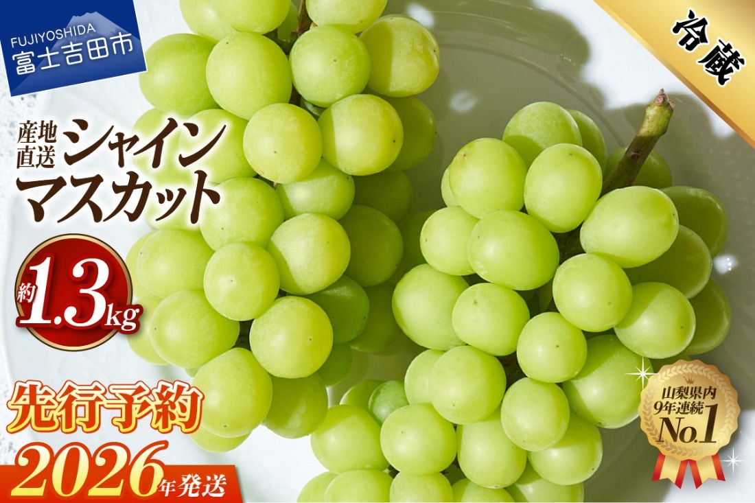 [2026年先行予約]高級 山梨県産 シャインマスカット 2房 (約1.3kg) 果物 旬 高級 フルーツ シャイン ぶどう 山梨 富士吉田