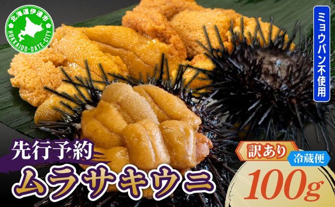 ＜先行予約＞ 北海道産 ムラサキウニ（訳あり）100g【ogm-028】生うに 塩水うに ミョウバン不使用 海鮮 訳あり 国産 北海道 伊達 ふるさと納税