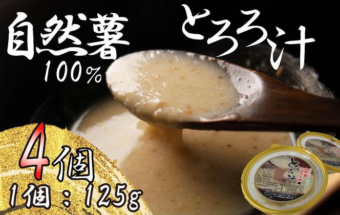 とろろ 冷凍 125g × 4個 自然薯 100％ 小分け セット とろろ汁 長芋 山芋 お手軽 農林水産省賞 受賞 ご飯 お供 そば つけ汁 健康 栄養 夏 バテ とろろ芋 個包装 静岡県 藤枝市