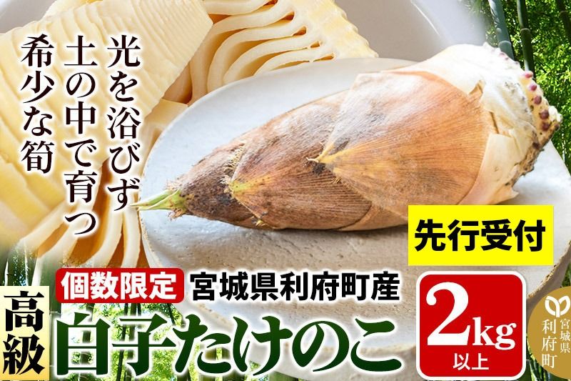 [先行受付 2026年4月以降発送]宮城県利府町産 採れたて 高級白子たけのこ 皮付き2kg以上(2〜6本)筍 タケノコ 野菜 国産 新鮮 旬|06_ods-010201