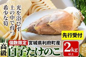 【先行受付 2026年4月以降発送】宮城県利府町産 採れたて 高級白子たけのこ 皮付き2kg以上（2〜6本）筍 タケノコ 野菜 国産 新鮮 旬|06_ods-010201