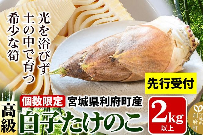 y{錧{zyst 2026N4ȍ~z{錧{Y ̂ꂽ q̂ t2kgȏi2?6{j ^PmR  Y VN {|06_ods-010201