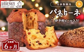【6ヶ月定期便】自家製酵母使用のパネトーネ！！ 1個入り ｜ お菓子 おやつ