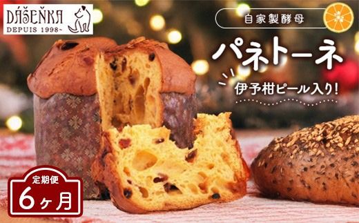 【6ヶ月定期便】自家製酵母使用のパネトーネ！！ 1個入り ｜ お菓子 おやつ