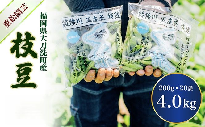 枝豆 【2027年6月発送】枝豆200g×20袋 合計4kg 福岡県大刀洗町産 豆 えだまめ 焼き枝豆 お弁当 おつまみ ※配送不可:北海道・沖縄・離島