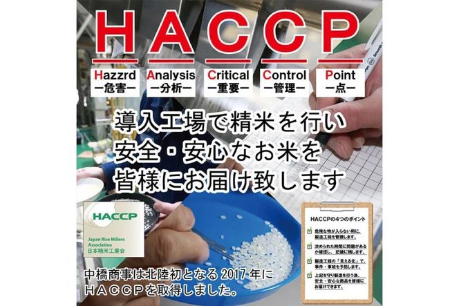 米 令和7年産 無洗米 石川米 こしひかり 2kg [中橋商事株式会社 石川県 宝達志水町 38601349] コシヒカリ お米 こめ コメ kome 能登 小容量 2キロ 令和7年 むせんまい