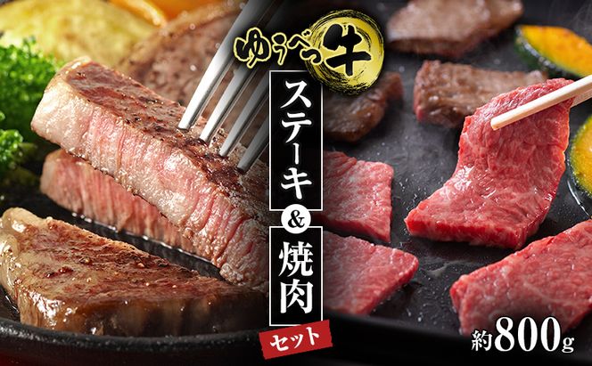 北海道産 ゆうべつ牛 ステーキ・焼き肉セット B 約800g 赤身 牛肉 冷凍 湧別牛 冷凍 国産 遺伝子 オホーツク お肉 焼肉 バーベキュー 