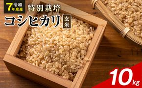 令和7年産 特別栽培米 コシヒカリ 玄米 10kg 静岡県産 色彩選別済 食に意識高い方へオススメ