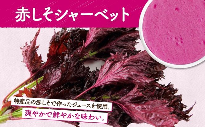 無地熨斗 北海道 まきばのジェラート しそシャーベット 130ml×6個 ジェラート 赤しそ シソ スイーツ デザート 氷菓 お取り寄せ グルメ 保存料不使用 牧場 自家製 シャーベット ギフト 熨斗 のし 名入れ不可 送料無料 洞爺湖 