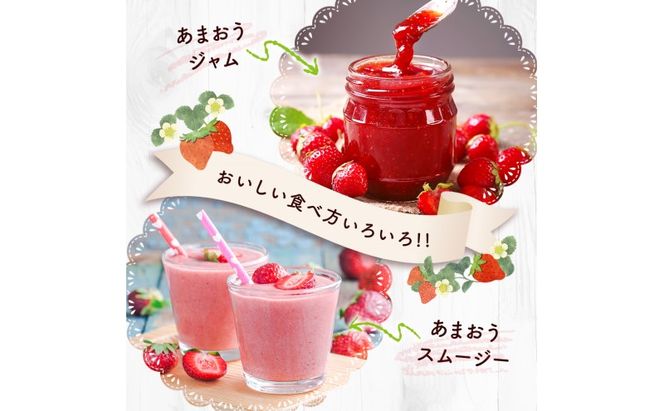 苺 福岡県産 あまおう 500g（2パック） 先行予約 発送予定：2027年1月より順次発送 いちご イチゴ 果物 ※配送不可:離島
