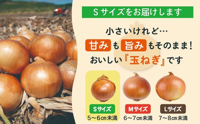 【数量限定訳あり品】玉ねぎＳサイズ・10kg（2025年12月上旬から順次発送）  BHRG147