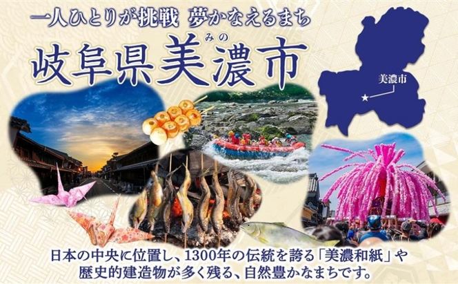 【3ヶ月定期便】【Mam's】 店主のおススメのセット パン ぱん 食パン 米粉 米粉パン クッキー 米粉クッキー 米麹 麹 甘いパン ふわふわ 食感 朝食トースト 季節 旬 食材 詰合せ 冷凍便 美濃町家Mam's 岐阜県 美濃市