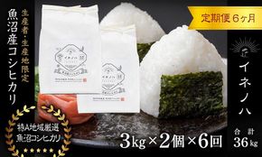 ＜定期便・全6回＞【令和7年産】魚沼産コシヒカリ「イネノハ 」精米(3kg×2)×6回 お米 白米 ご飯 産地直送 ミネラル 栄養分 こだわり 人気 新鮮 