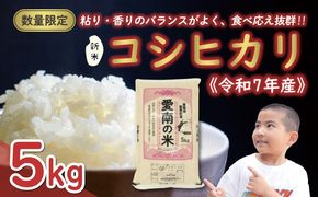 先行予約 新米 令和7年産 コシヒカリ 5kg 13000円 お米 白米 精米 米 こめ 産地直送 国産 農家直送 期間限定 数量限定 特産品 先行 事前 受付 令和7年度産 2025年産 もっちり 粘り 甘み おいしい おにぎり こしひかり 内祝い お祝い 贈答品 お返し プレゼント ギフト 土産 御礼 お礼 お取り寄せ えひめ南農業協同組合 愛南町 愛媛県