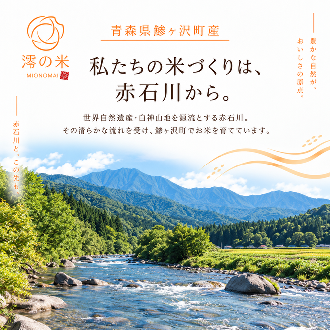 【3回定期便】米 5kg 無洗米 まっしぐら イワモトファーム 青森県産 令和8年産 3ヶ月 定期便 新米 ごはん ご飯 節水 時短 手軽 ブランド米 直送 農家直送 お取り寄せ お米 こめ コメ 白飯 国産 お弁当 冷めてもおいしい 送料無料