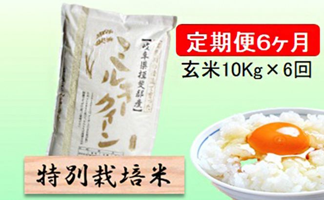 定期便 6カ月【 令和8年産 】毎月  玄米 10kg【 ミルキークイーン 】