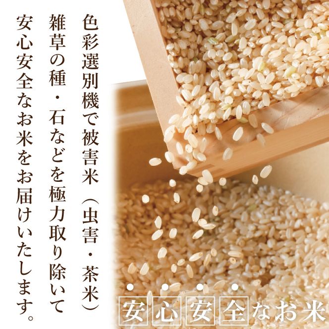 R7年産取手市産コシヒカリ 玄米5kg|お米 米 こしひかり コシヒカリ 玄米 茨城県 取手市（BS003）