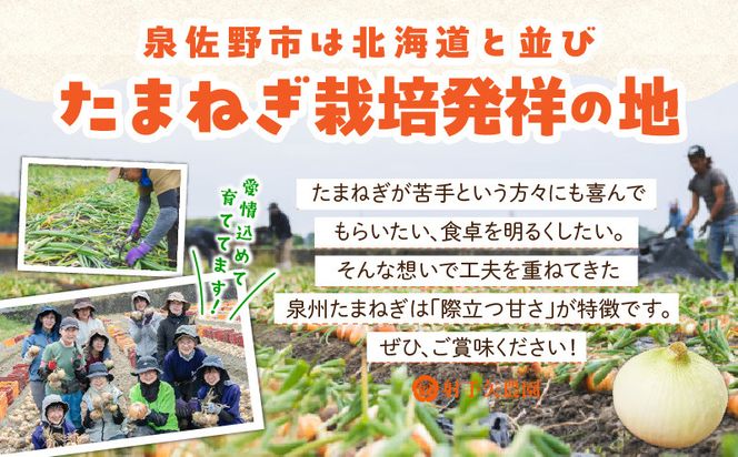 ity0021 【先行予約】泉州たまねぎ 20kg 玉ねぎ 射手矢農園【家計応援 タマネギ 玉葱 野菜 やさい 高評価 期間限定 TVで紹介！】