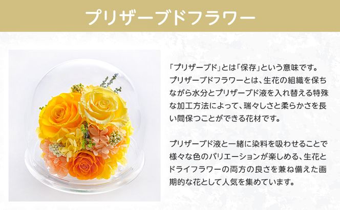 花 プリザーブドフラワー ルミナス ギフト プレゼント お祝い 誕生日 お供え アレンジ インテリア 東京都 墨田区