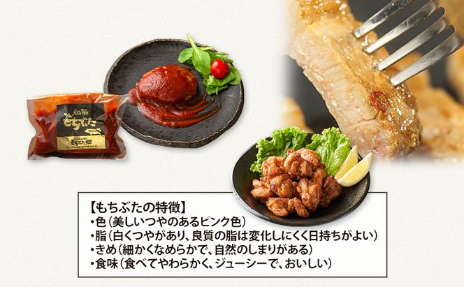 【3ヵ月定期便】全3回 和豚 もちぶた 3種 食べ比べのセット  ハンバーグ 140g 唐揚げ 250g 味噌漬け ロース 肩ロース モモ 120g セット 和豚 豚肉 ポーク 肉 豚 豚ロース もも肉 精肉  食品  夕食 お弁当 もちぶた館 大河原町