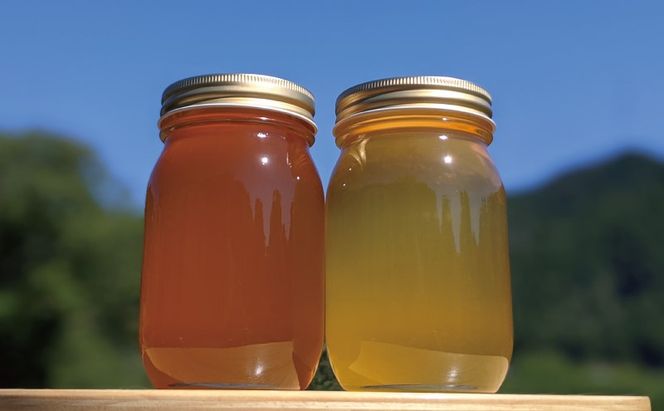 合計1200g 天然蜂蜜 国産蜂蜜 非加熱 生はちみつ 岐阜県 美濃市産 味比べ 蜂蜜600g入りガラス瓶 2本セットC3 深田養蜂のハチミツ