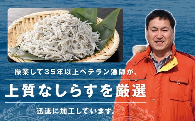 G3797 釜揚げしらす＆ちりめん山椒セット 計1.2kg【小分け ちりめん シラス しらす sirasu 海鮮 セット 人気 おすすめ 産地直送】