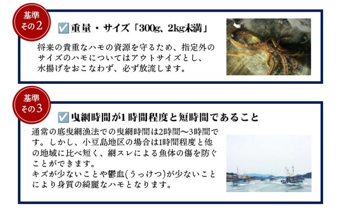 【 小豆島 】テレビで紹介されました！『小豆島島鱧』活け締め骨切り瞬間冷凍 新鮮 海の幸 ハモ