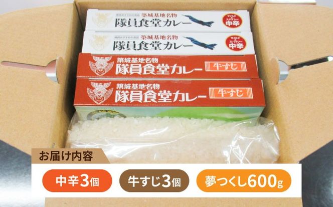 隊員食堂カレー（中辛２個・牛すじ２個）・お米600ｇセット《築上町》【NPO法人築上町観光協会】贈答 限定 レトルト 個包装 夢つくし[ABAX006]