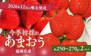 あまおう 【2026年12月より順次発送】 今季初採れあまおう 2パック【数量限定】イチゴ 苺 いちご 果物 福岡県産 限定 ※配送不可:離島