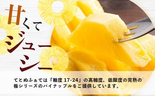 【予約受付】《2026年5月下旬～7月中旬発送》最高糖度18度！？ 完熟の極 石垣島産ジュワリーパイン2個 【 沖縄県 石垣市 石垣島 完熟 パイン パイナップル ジュワリー 予約受付 】TF-16-1_R8