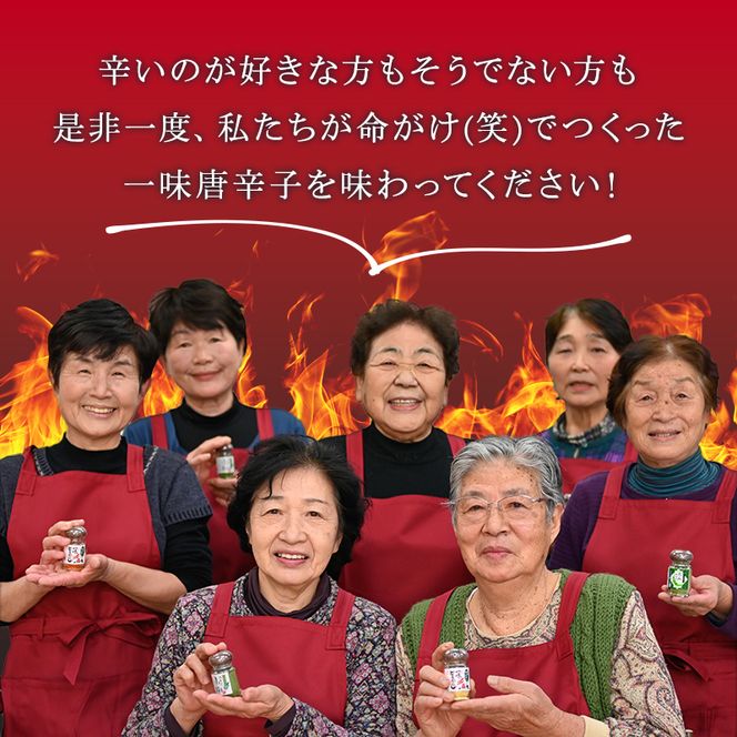 FYN9-733 山形県 西川町産 唐辛子使用！ 月山なんばこ 超激辛 3本セット 調味料 食品 香辛料 スパイス 唐辛子 とうがらし 辛い 手作り 命がけ 山形県 西川町 月山