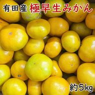 有田産極早生みかん約5kg（サイズ混合）