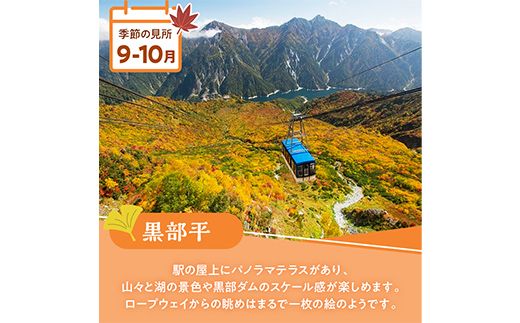 立山黒部アルペンルート ( 立山駅 ～ 扇沢駅 ※片道 ) 優待券 立山黒部貫光 観光 旅行 券 チケット 体験 トラベル 黒部 富山県 立山町 F6T-780