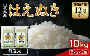 FYN1-957 【12月後半発送】令和7年産 新米 山形県産 はえぬき 10kg 2025年 お米 米 米米 ごはん ご飯 白米 国産 ブランド米 節水 時短 冷めてもおいしい贈答 ギフト 家庭用 自宅用 お取り寄せ 食品 山形県 西川町 月山