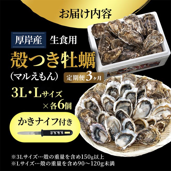【 3ヵ月 定期便 】 厚岸産 ブランド 殻付カキ マルえもん 生食用 サイズ食べ比べ 12個 (3L・L各6個)[ 魚貝類 生牡蠣 かき 牡蠣 カキ 生ガキ 食べ比べ ]