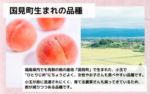 ◆2025年夏発送◆紅国見～産直・桃・約5kg～ ｜ 先行予約 予約 数量限定 桃 もも モモ 果物 くだもの フルーツ 詰め合わせ 福島 ふくしま　※離島への配送不可　※2025年7月上旬～7月下旬頃に順次発送予定