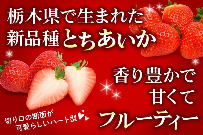 [訳あり] ごろっと盛り盛りいちご『とちあいか』2000g｜いちご イチゴ 苺 とちあいか フルーツ 果物 スイーツ 産地直送 栃木県産 矢板市産 [0539]