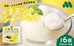 【先行予約】 くまモンのシャーベット 世界一大きな柑橘(ザボン類) 熊本県産 晩白柚 使用 アイス 氷菓子 果汁 果物 熊本 八代 国産 スイーツ くまモン 【2026年1月より順次発送】