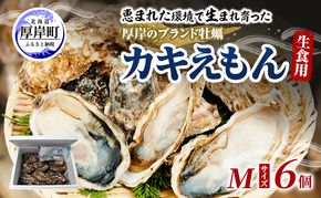 牡蠣 厚岸のブランド牡蠣 生食用 カキえもん Mサイズ 6個  [ 魚貝類 海鮮 海のミルク 国産 生食用殻付き牡蠣 まろやか クリーミー 食べやすい品種 海の香り 牡蠣の酒蒸し 焼き牡蠣  ]