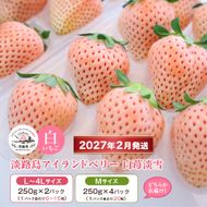 淡路島アイランドベリー 白苺淡雪 2～4パック入【2027年2月発送予約受付・お届け日指定不可】　苺