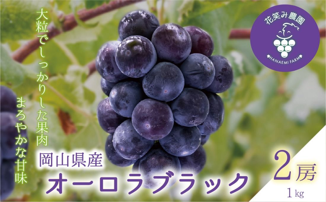 [2026年先行予約]岡山 花笑み農園の『オーロラブラック』1kg(2房) 2026年9月上旬〜 受付順に発送予定 [hana030-02]