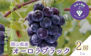 【2026年先行予約】岡山 花笑み農園の『オーロラブラック』1kg（2房） 2026年9月上旬～ 受付順に発送予定 【hana030-02】