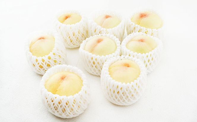 桃 定期便 2026年 先行予約 岡山 の 白桃 8玉 合計1.7kg以上×2回 お届け 化粧箱入り もも モモ 岡山産 国産 フルーツ 果物 ギフト 