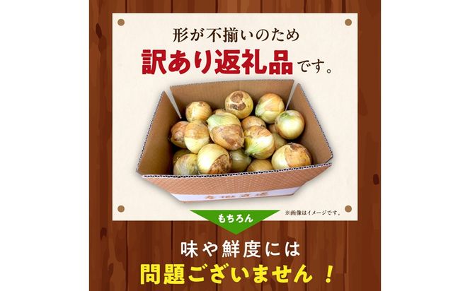 【訳あり】新たまねぎ 3kg JA00093