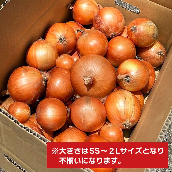 淡路島玉葱 5kg 【栽培期間中、無農薬栽培】サイズ混合SS～2L 玉ねぎ