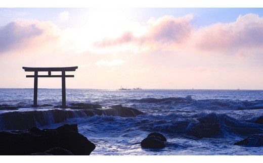 あんこう 1.2kg ( 共通返礼品：茨城県大洗町 ) 茨城 名物 アンコウ 鮟鱇 鍋 あん肝 コラーゲン 冷凍 海鮮 魚介類 冬[CX001us]